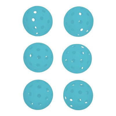Pure4Fun Pickleball 6-piece set