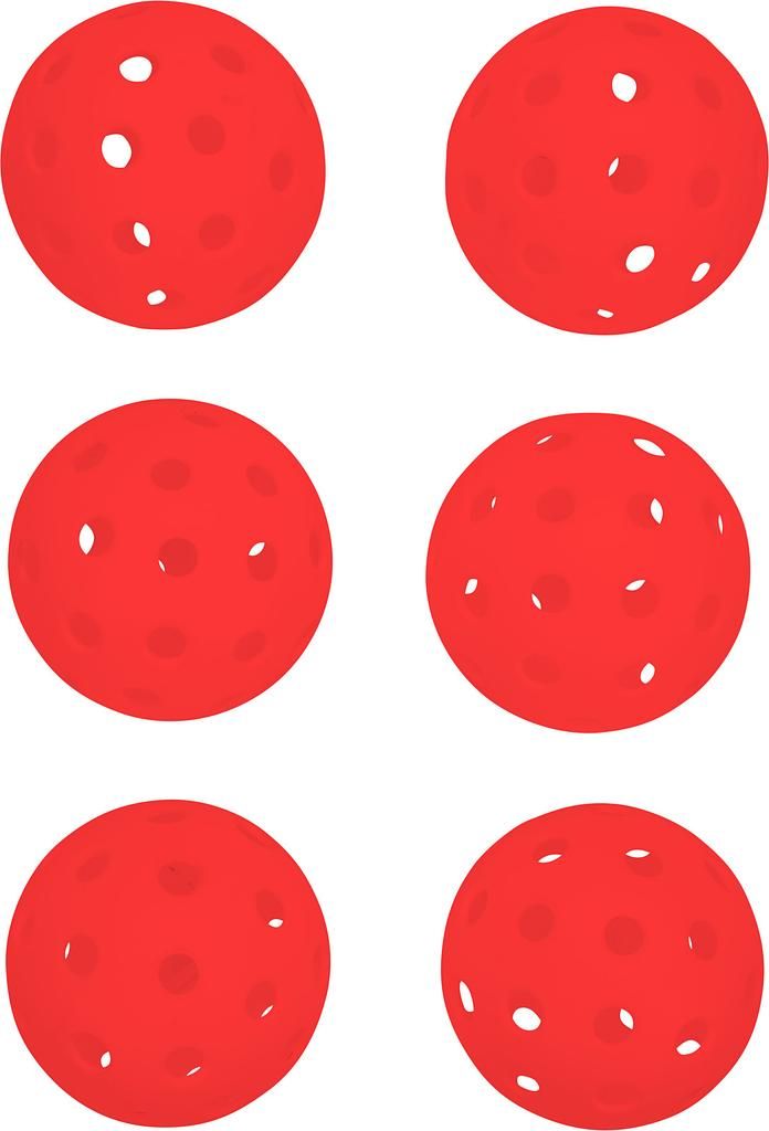 Pure4Fun Pickleball 6er Set