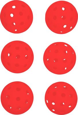 Pure4Fun Pickleball 6-piece set