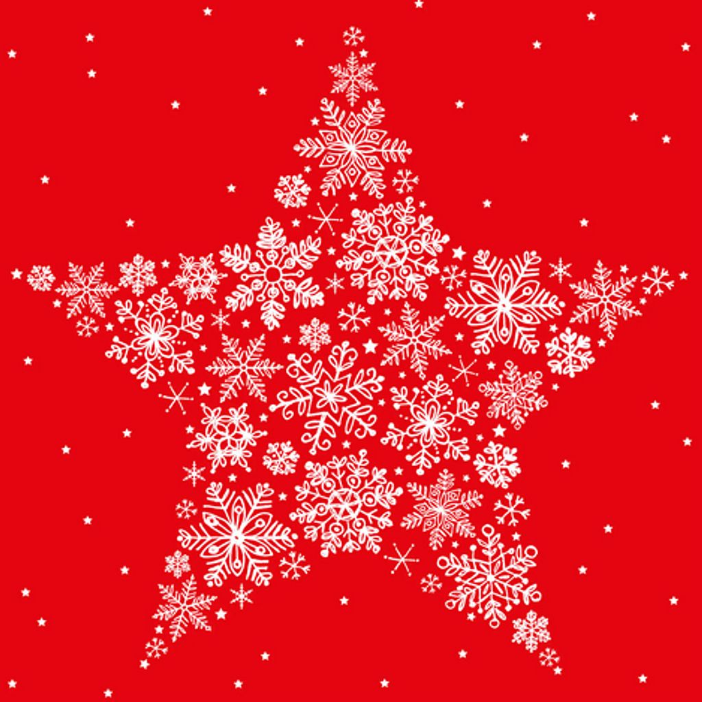 Braun&amp;Company Christmas Napkins "Ice Flower Star"