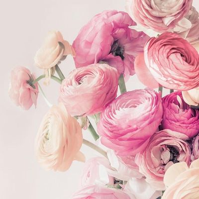 Braun&amp;Company paper napkins "Fragrant and delicate"