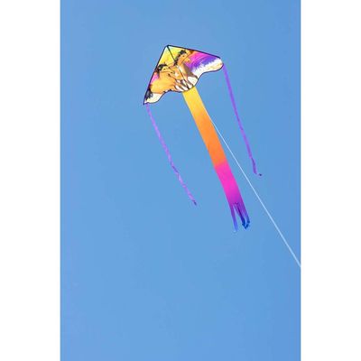 Ecoline Kids Draghi con cavalli selvaggi