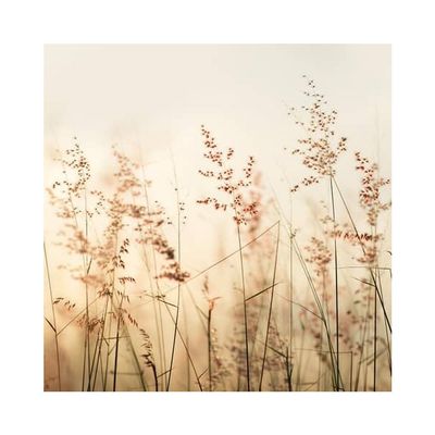 Braun&amp;Company paper napkins "Grasses"