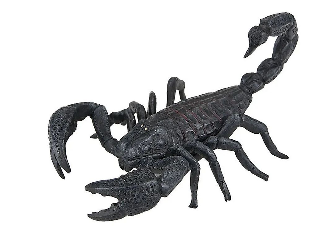 Toy animal "Scorpion"