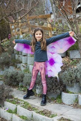 Great Pretender Costume "Ombre Butterfly Soft Wings"
