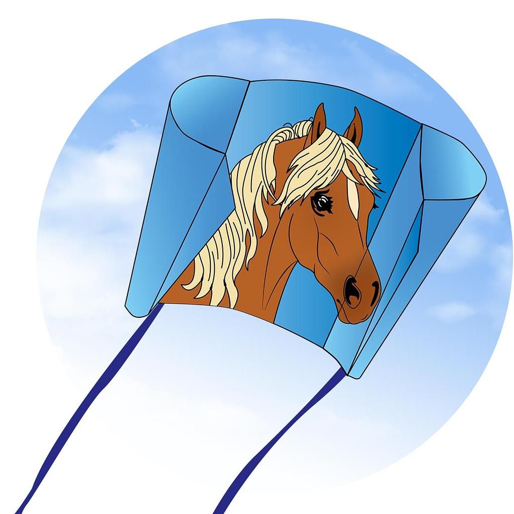 Hq Kites &amp; Designs Drachen "Pferd"