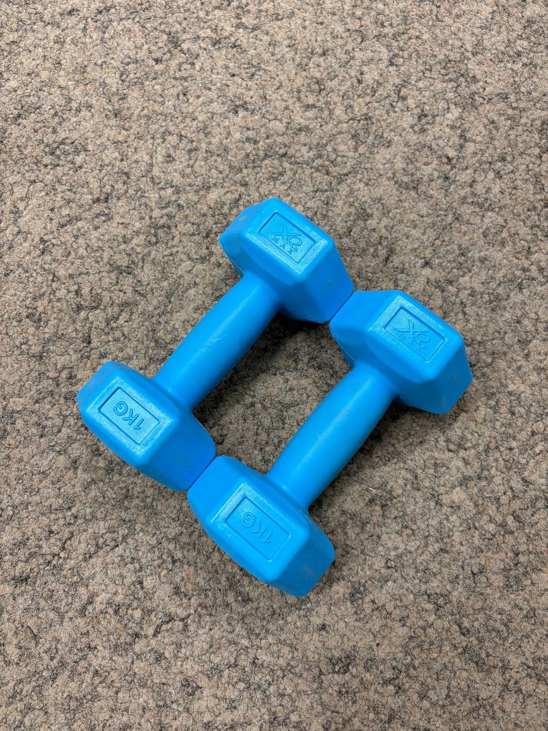 XQ Max Cement Dumbbell Set