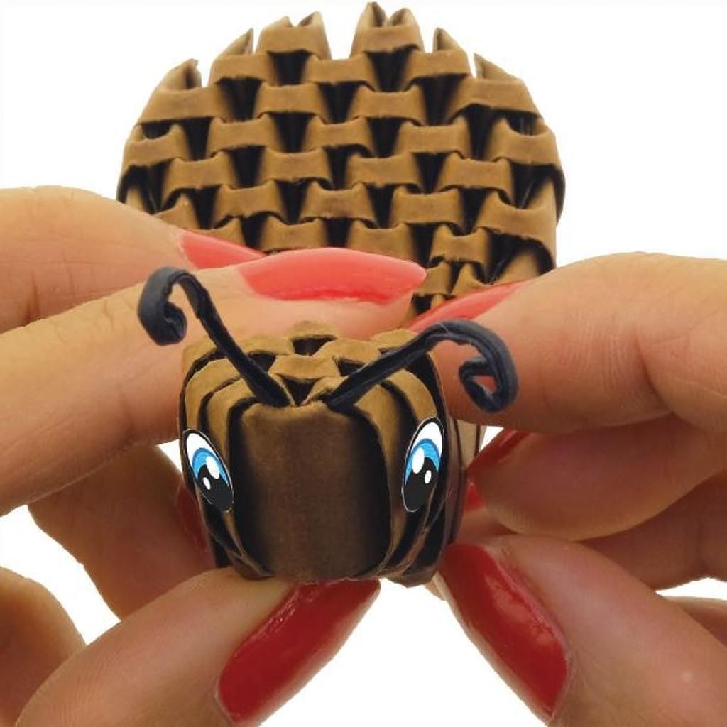 Alexander 3D – SCHNECKE