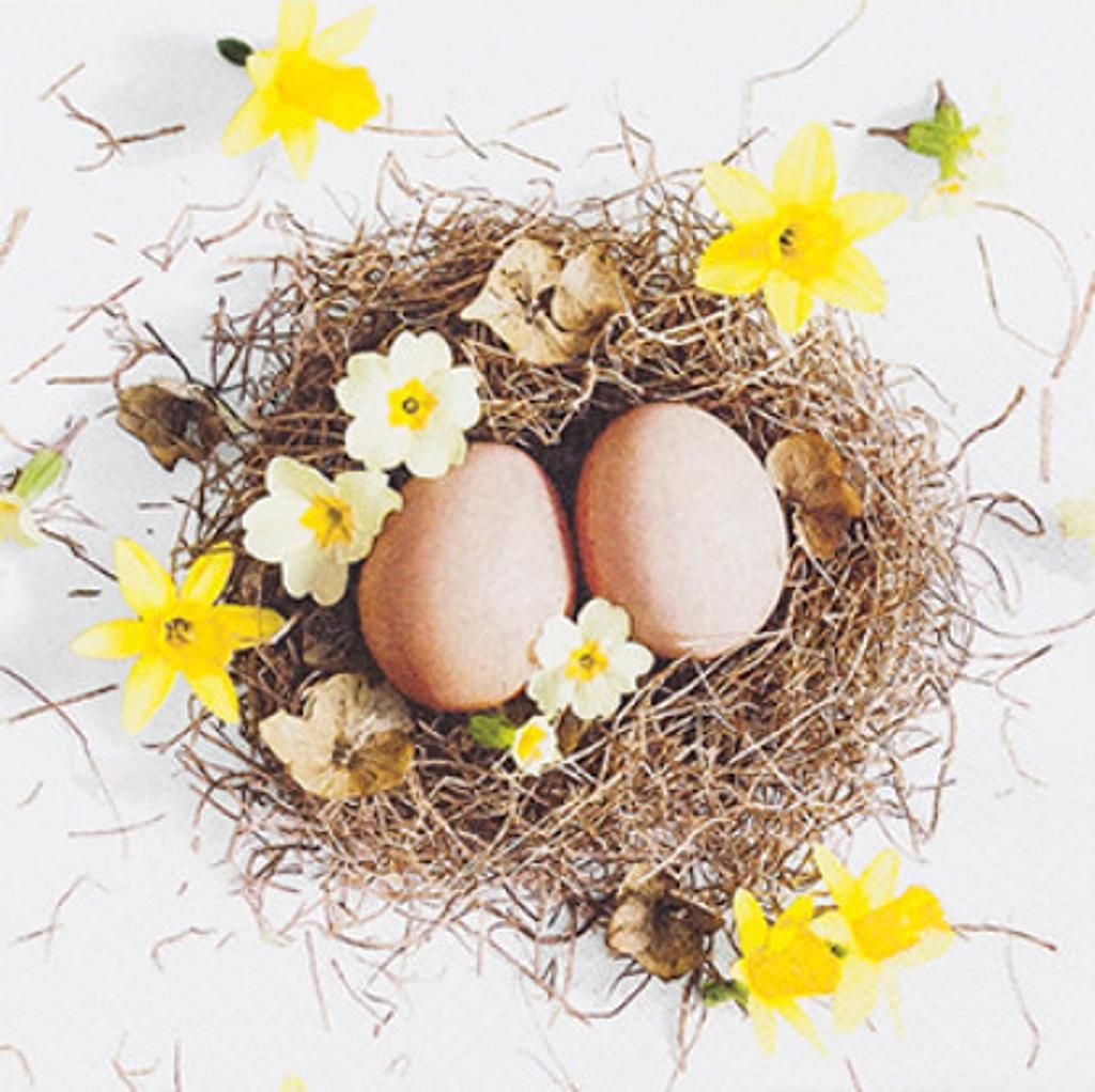 Home Fashion Servietten – Osternest