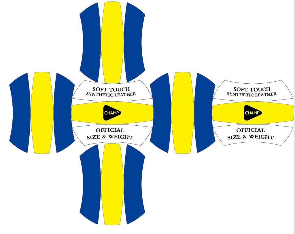 CHAMP Volleyball Beach Größe 5  (original Bilder folgen)