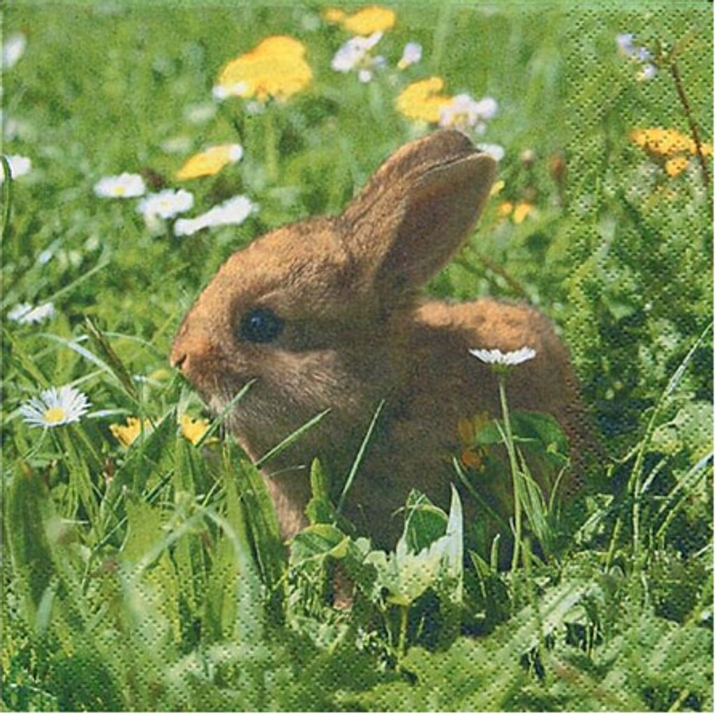 Home Fashion Napkins "Bunny Randy"