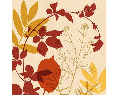 Braun&amp;Company Napkins with Floral Pattern