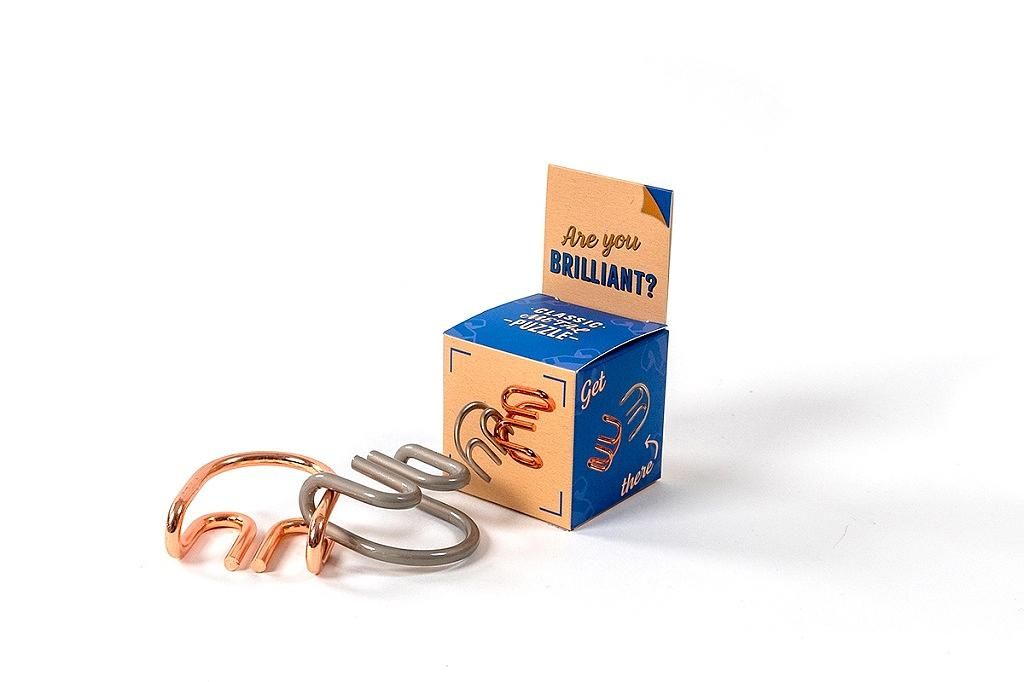 Recenttoys Klassisches Puzzle ARE YOU BRILLIANT?