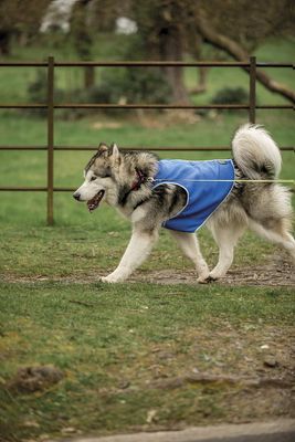Trespass ALASKA - Dog Cooling Vest