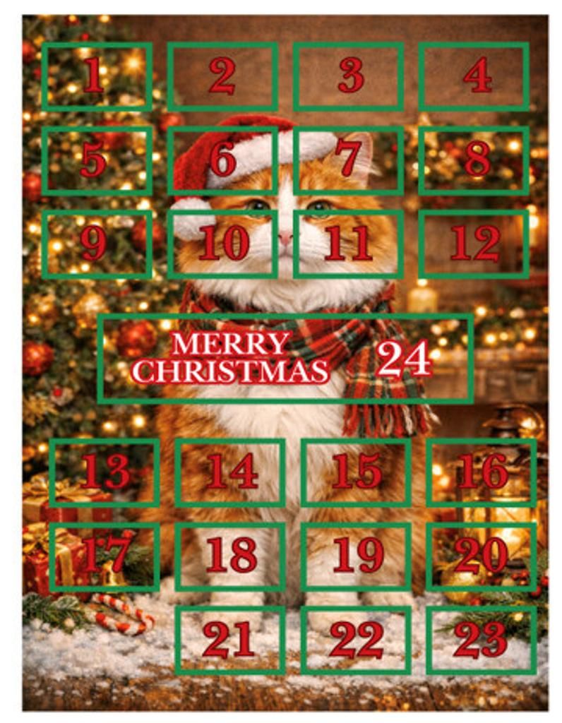 CHAMP Katzen Adventskalender