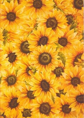 Sunflower Notebooks