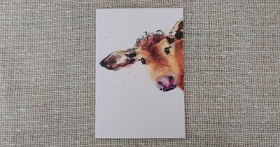Inky Cow Notebook