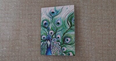 Inky Peacock Notebook