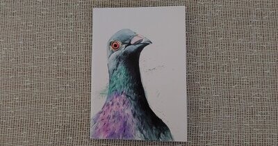 Inky Pigeon Notebook