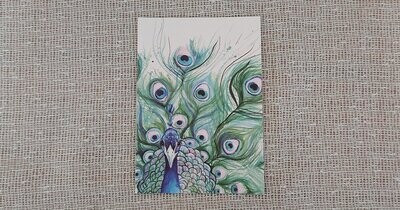 Inky Peacock Postcard