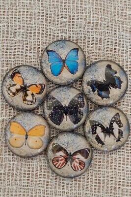 Butterfly Fridge Magnets