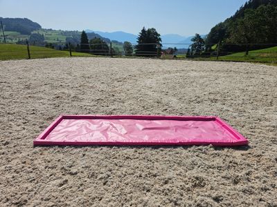 Wassergraben Pferd (diverse Farben) 1*3m