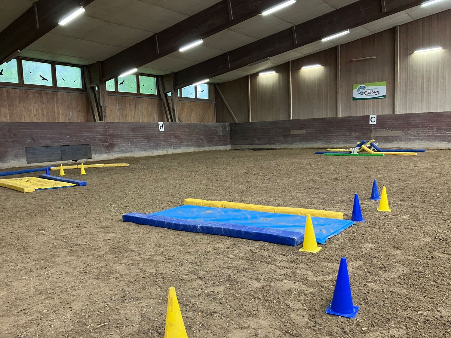 Matte für Equigym 300*100*5cm verschweisste Seiten