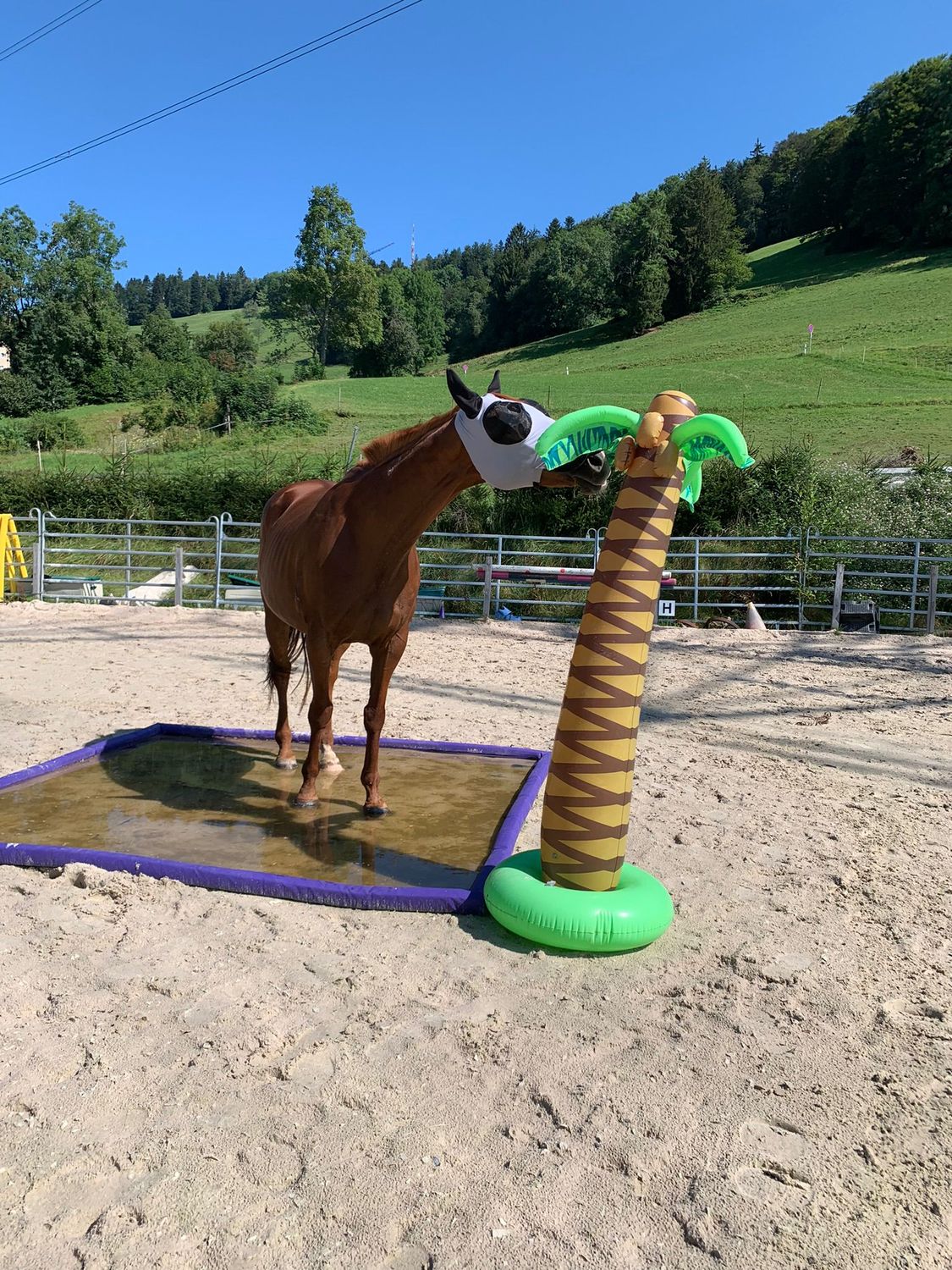 Wassergraben auf Wunsch