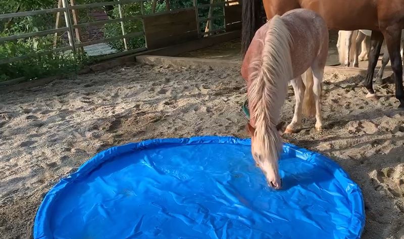 Wassergraben rund 1m Durchmesser