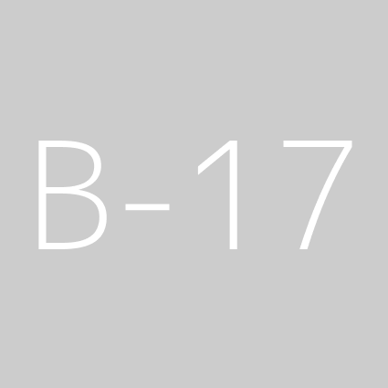 Товар B, Диаметр: 17 см