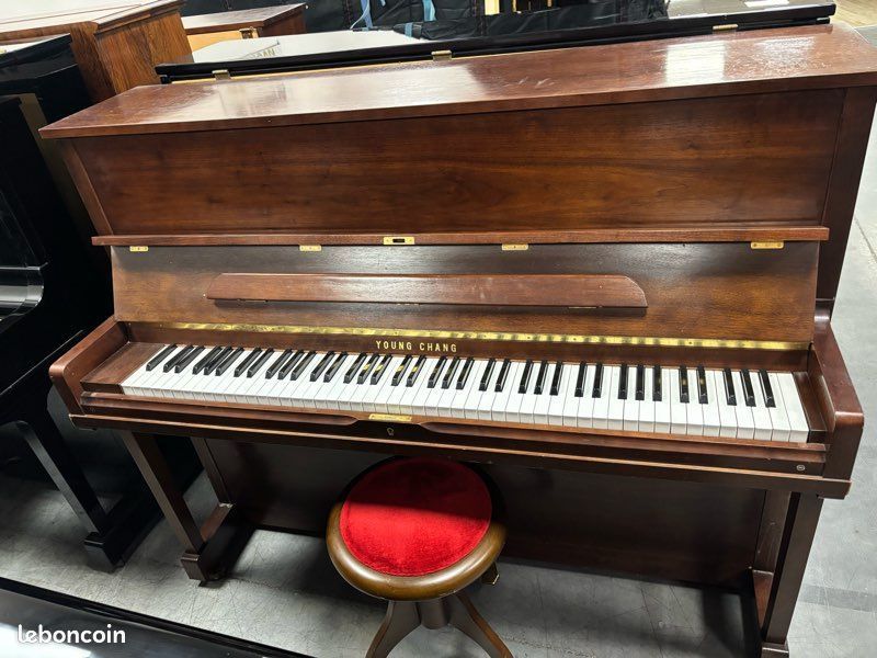 Young chang E-118 Young chang E-118