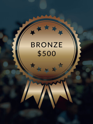 Bronze Sponsorship