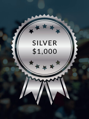 Silver Sponsorship