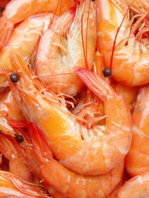 Boiled Shrimp Lunch