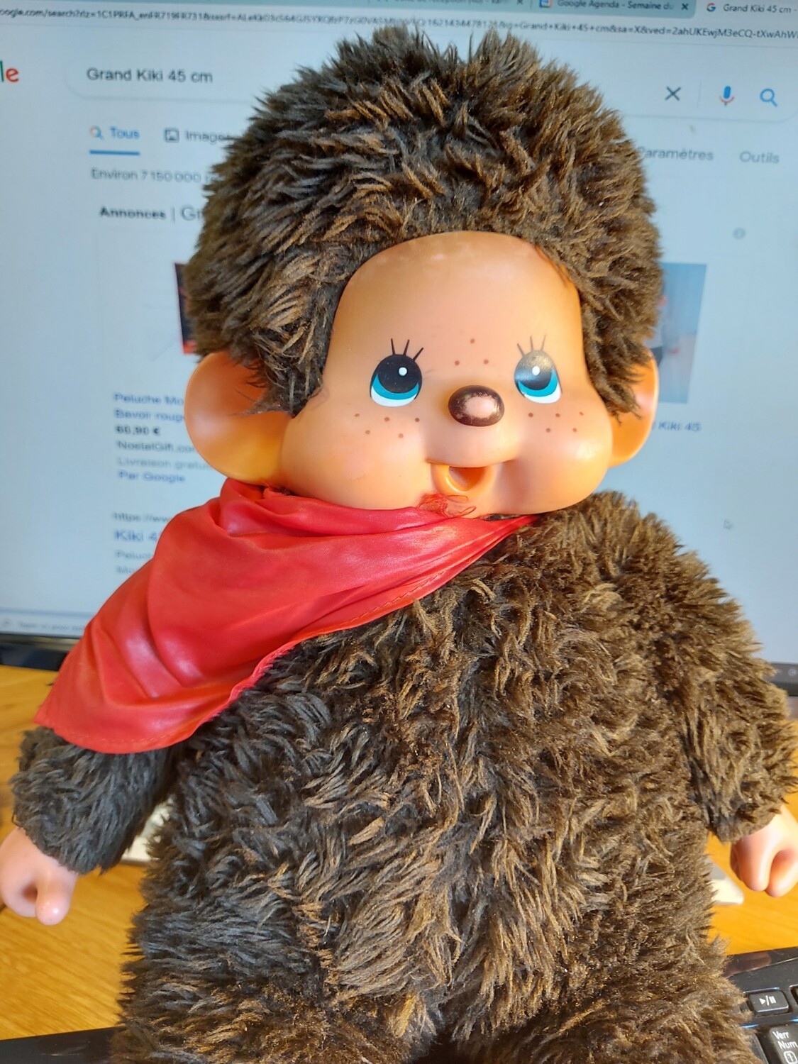 amazon bébé reborn