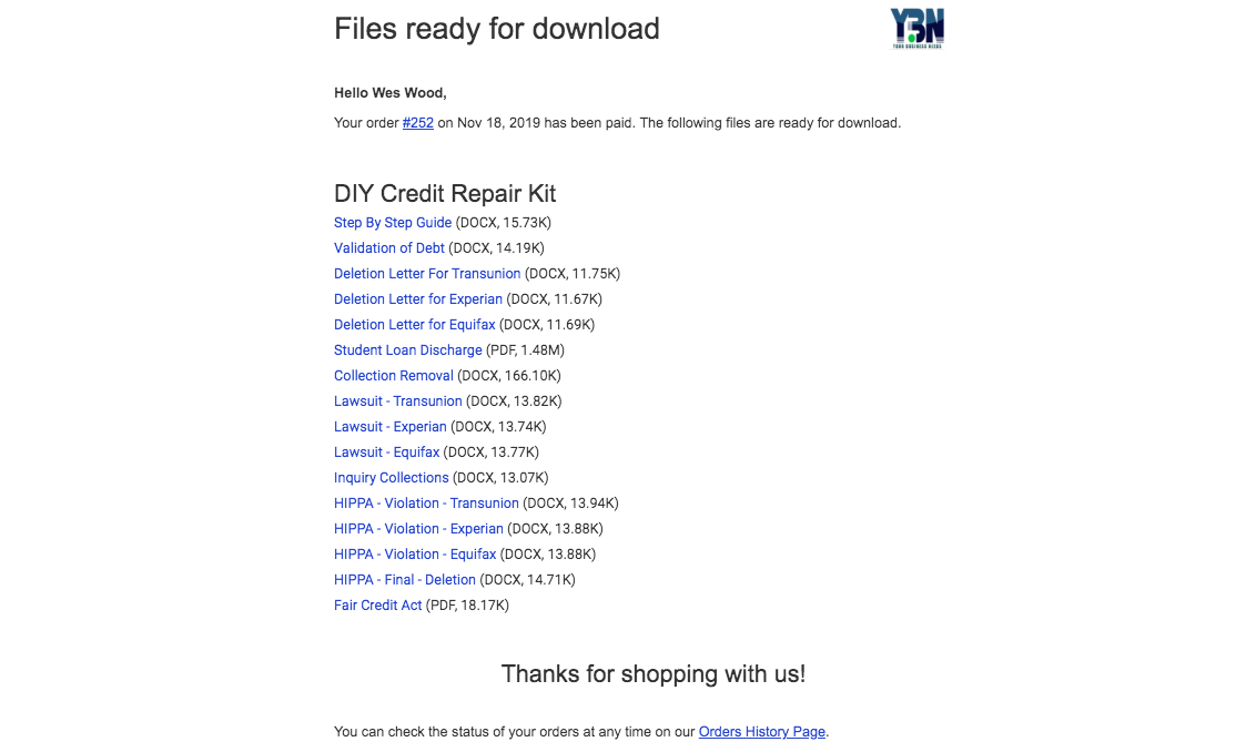DIY Credit Repair Program