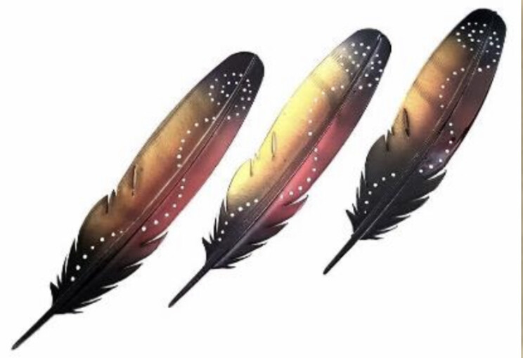 3 Kungah Feather (Black Cockatoo)
