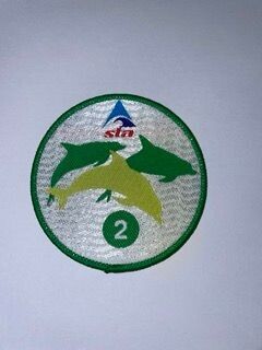 STA Dolphin 2 Badge and Certificate