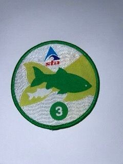 STA Goldfish 3 Badge and Certificate