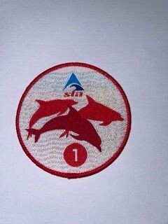 STA Dolphin 1 Badge and Certificate