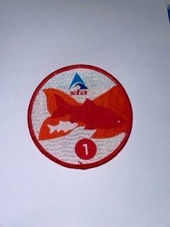 STA Goldfish 1 Badge and Certificate