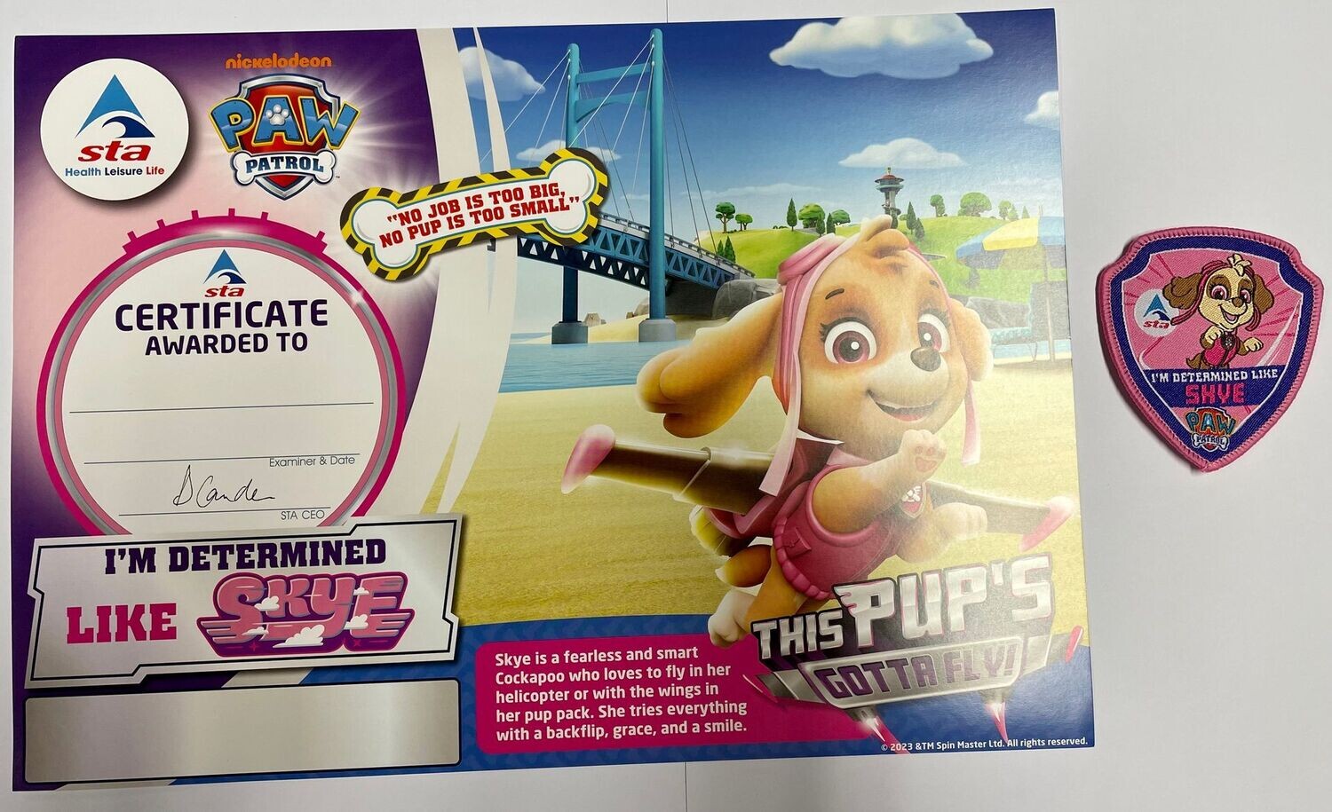 PAW Patrol "I'm Determined Like Skye" Certificate and Badge