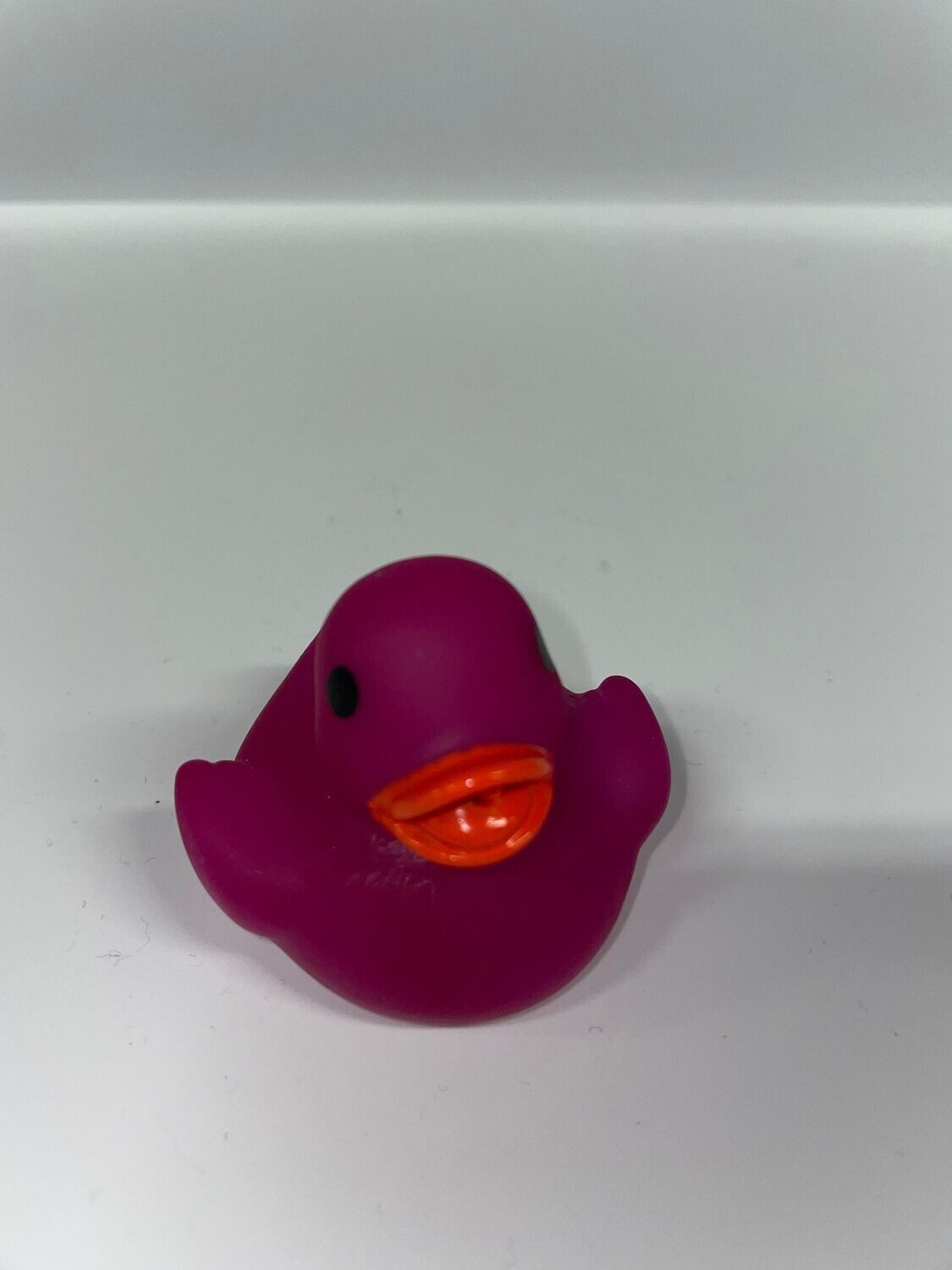 Purple Duck