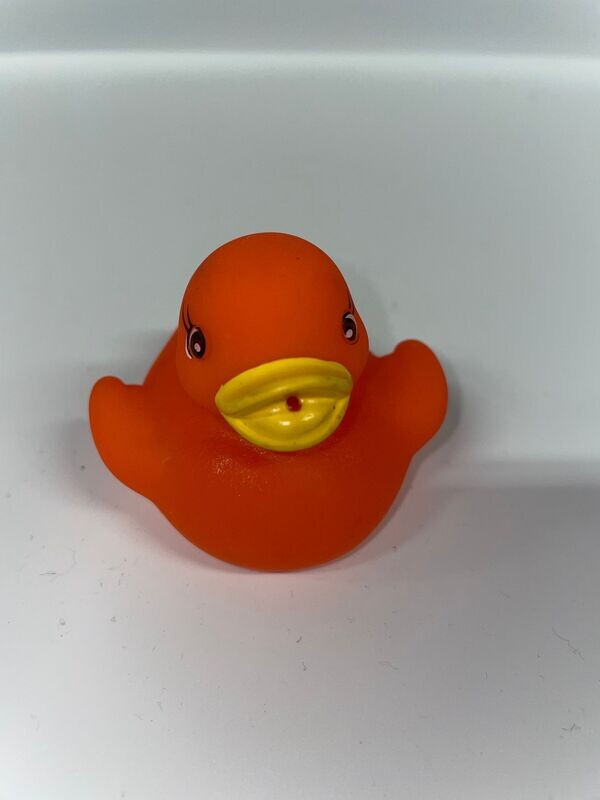 Orange Duck