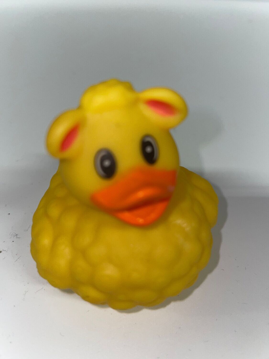Sheep Duck