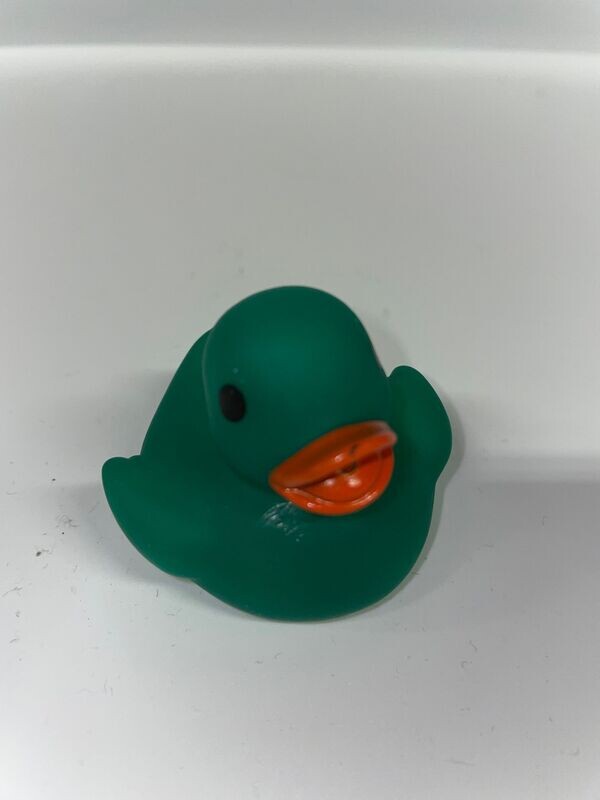Dark Green Duck