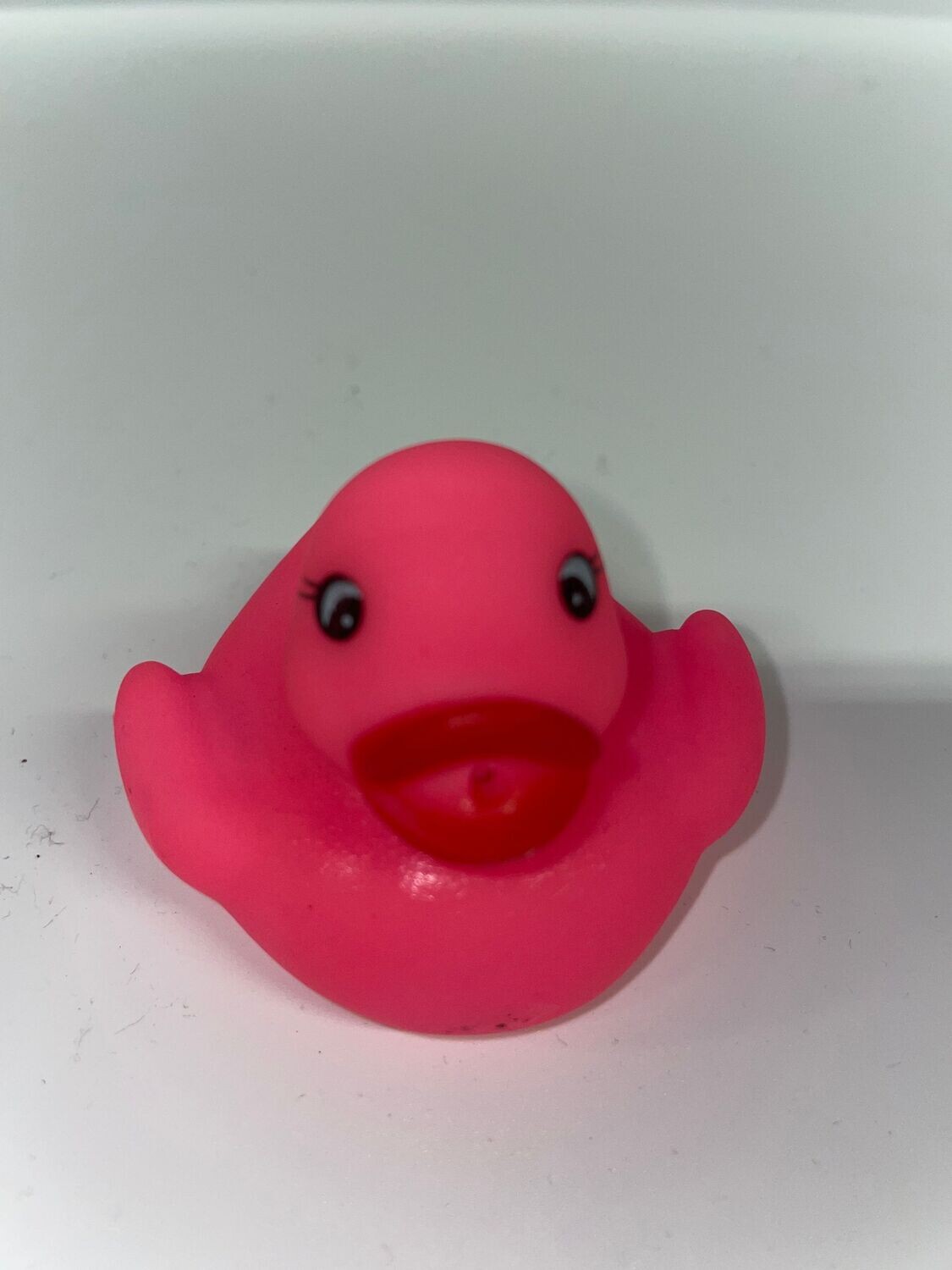 Pink Duck