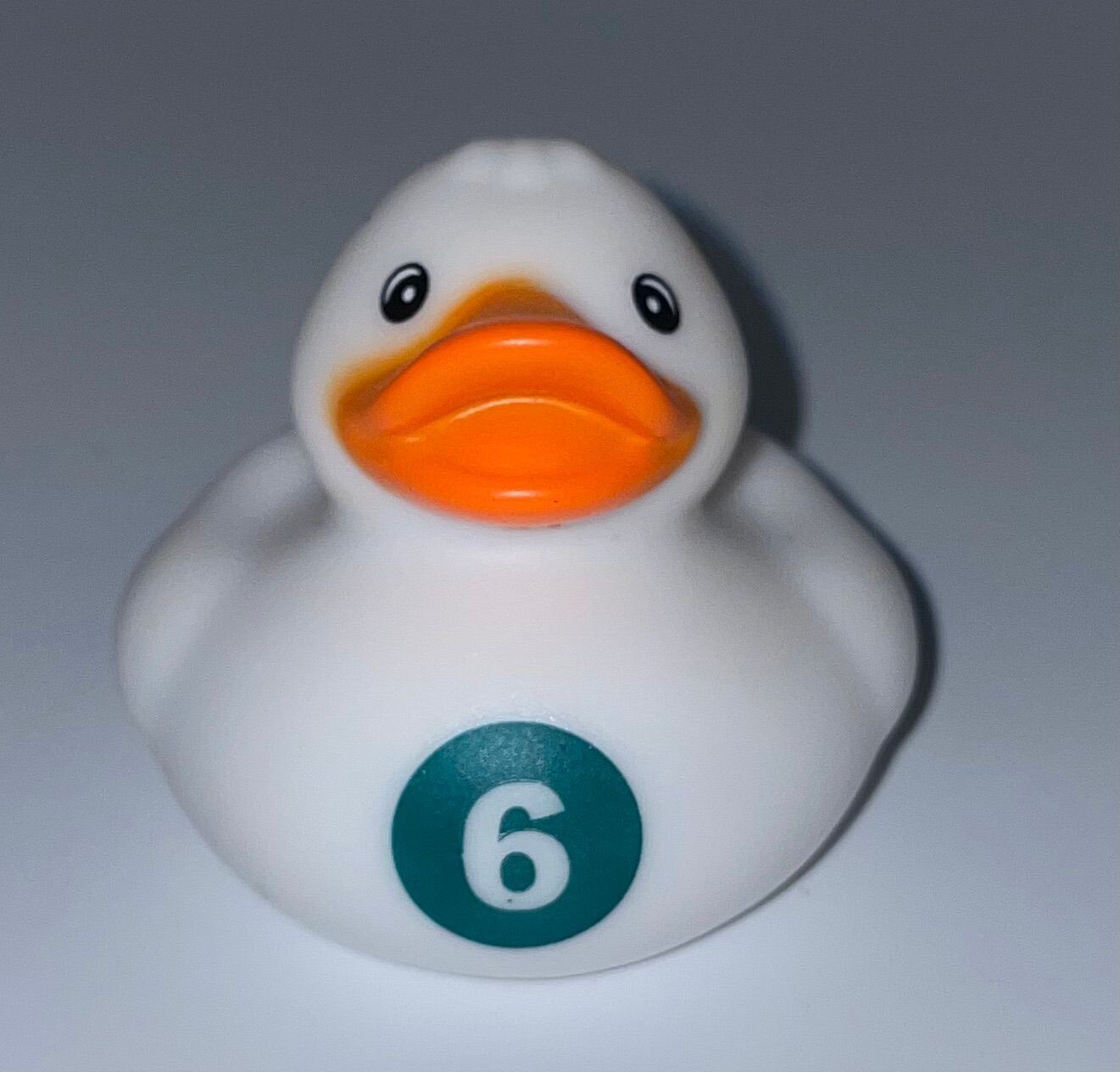 White 6 Duck