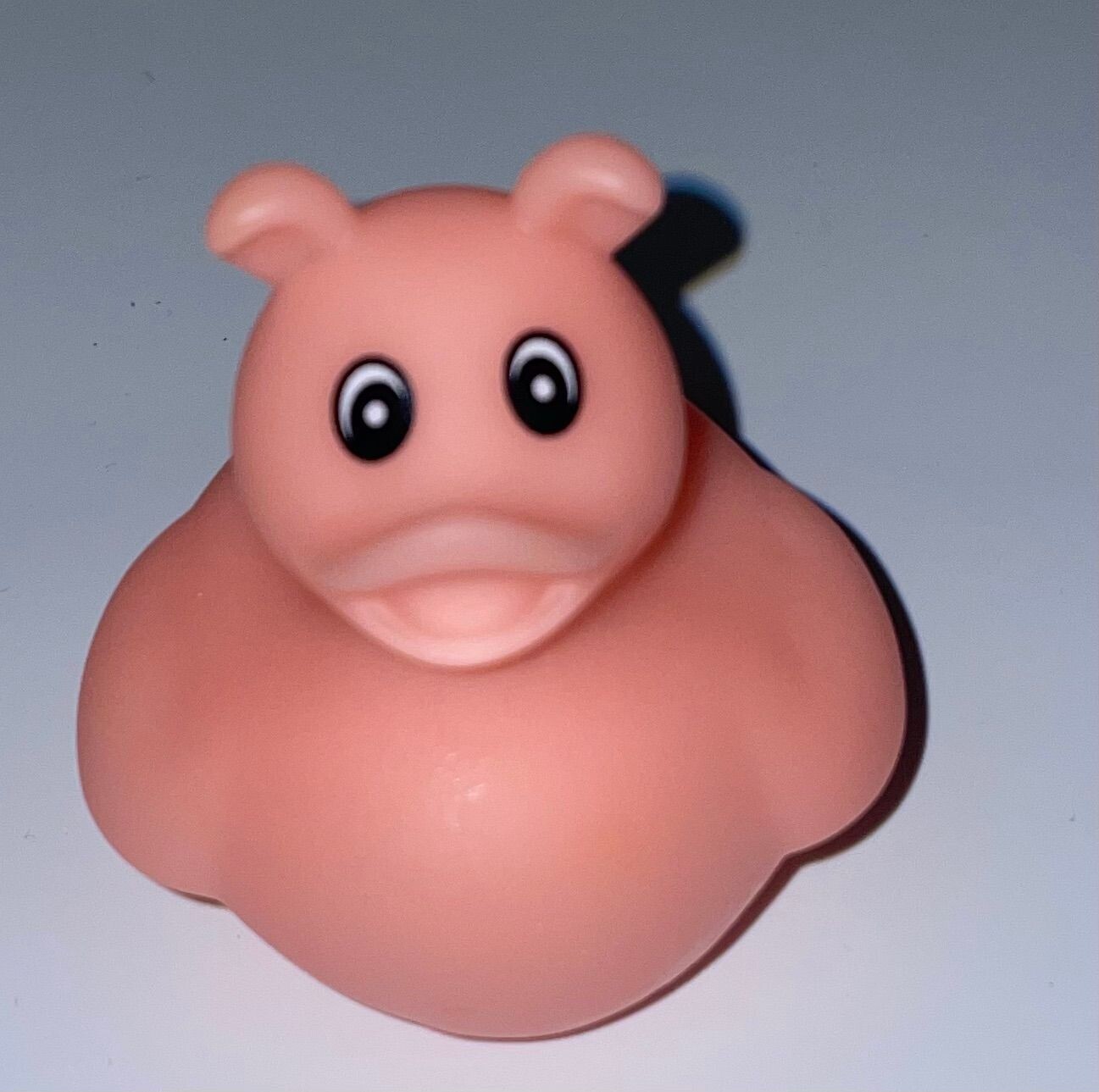 Pink Pig Duck