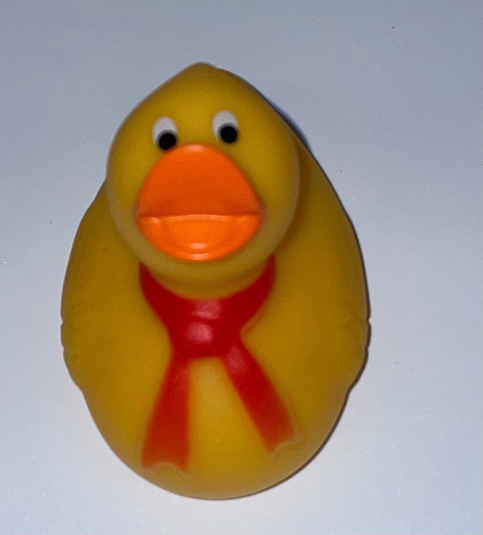 Yellow Duck with Scarf